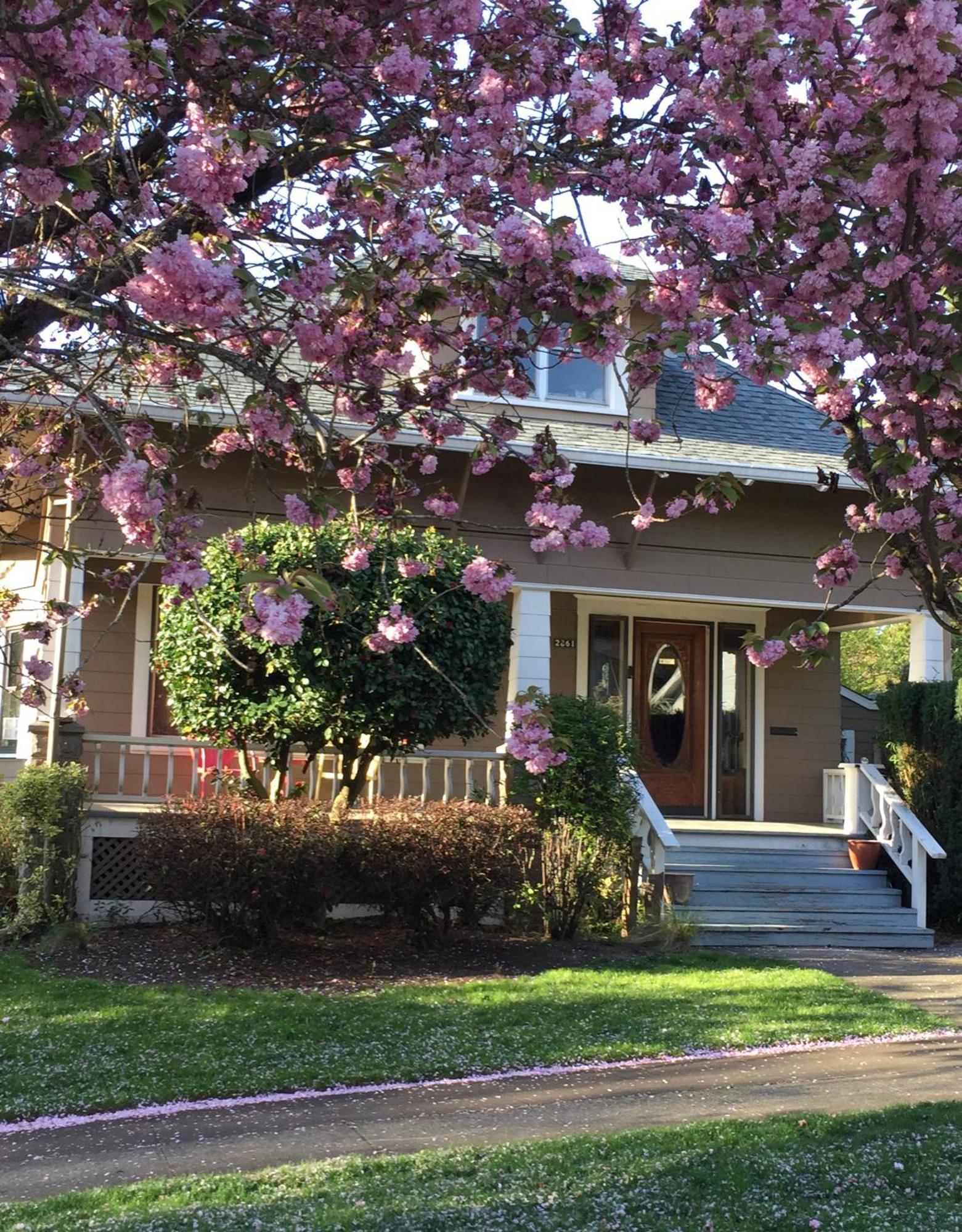 Southeast Portland Comfy & Eclectic Craftsman Home Exterior foto