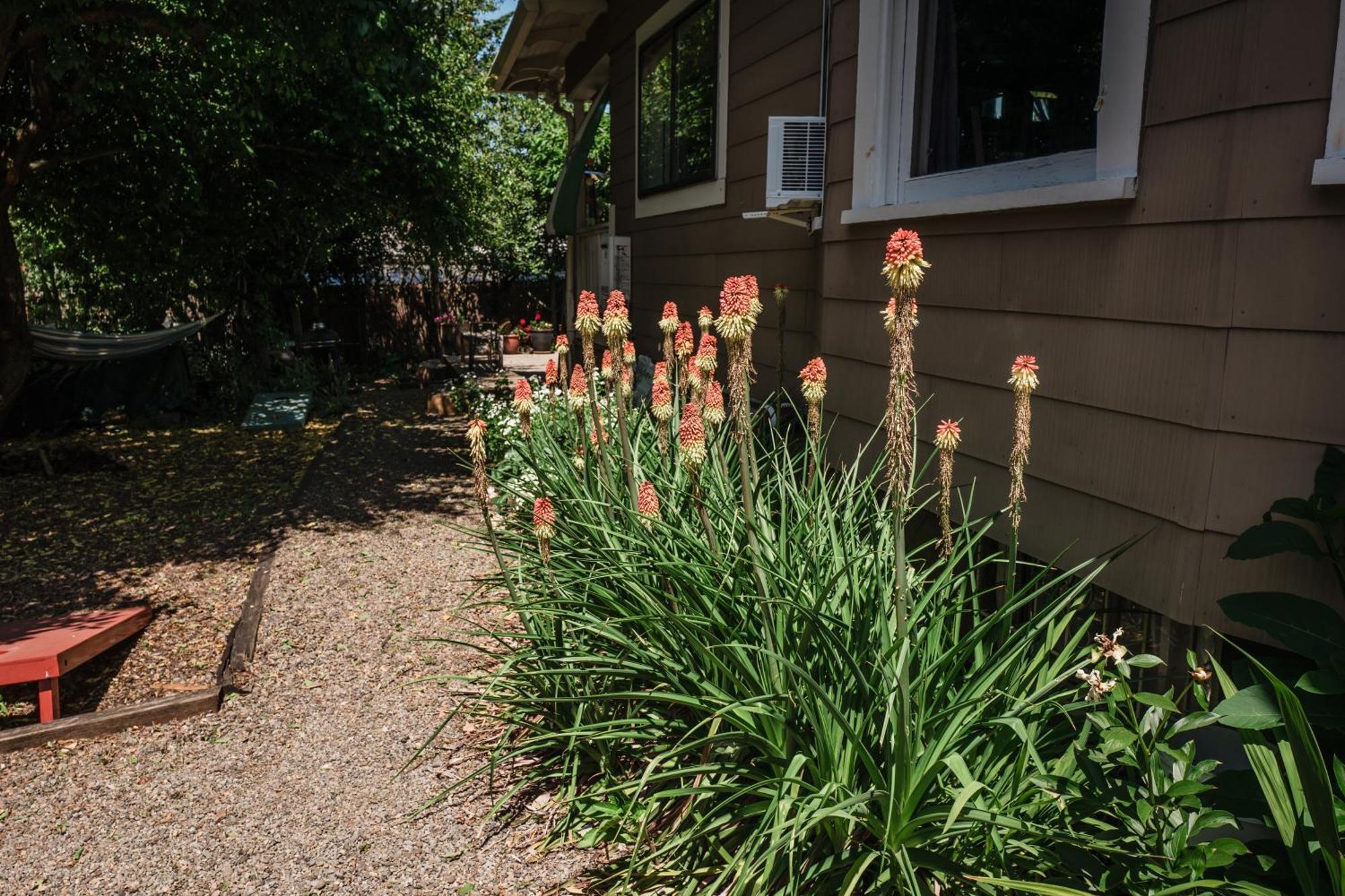 Southeast Portland Comfy & Eclectic Craftsman Home Exterior foto